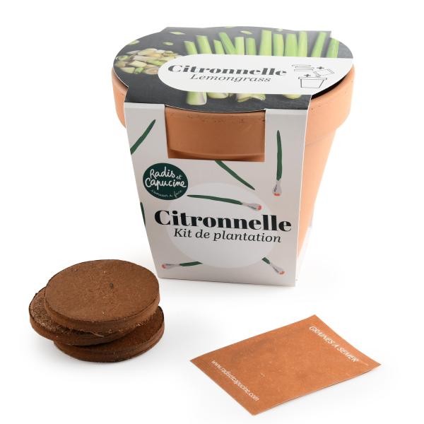 Radis et Capucine - Kit Citronnelle - Pot en Terre Cuite - 13 cm - MEDIA_EN_SITUATION_1